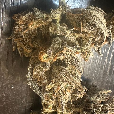 Freydis growlog timeline photo