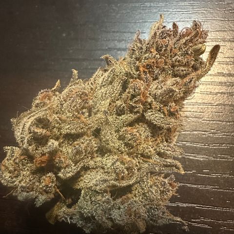 Freydis growlog timeline photo