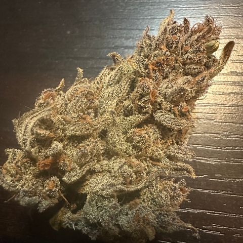 Freydis growlog timeline photo