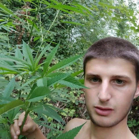 Marijuana #1 growlog timeline photo