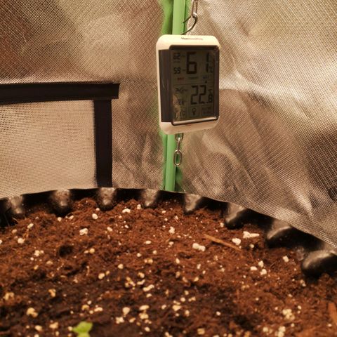 Glue Gelato growlog photo: 23:15
