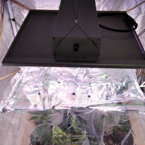 AK-47 growlog photo: Ankunft