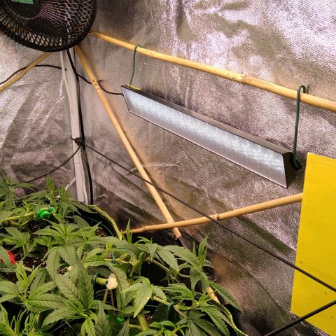 AK-47 growlog timeline photo