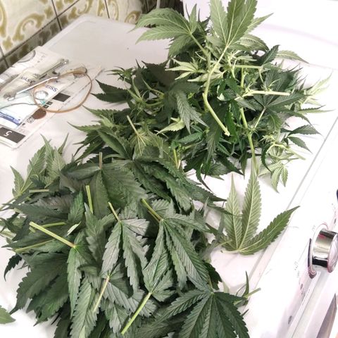 AK-47 growlog timeline photo
