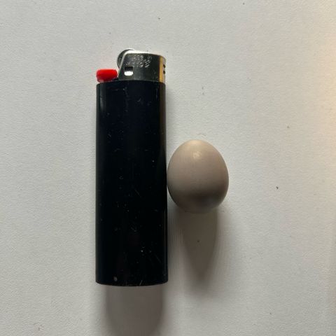 Wondergrow growlog timeline photo