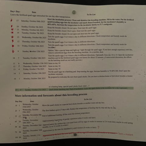 Wondergrow growlog timeline photo