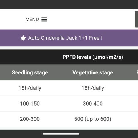 Critical Widow growlog timeline photo
