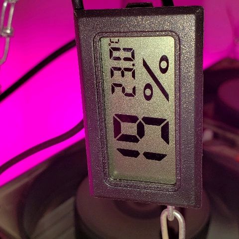 Moby-D XXL Auto growlog timeline photo