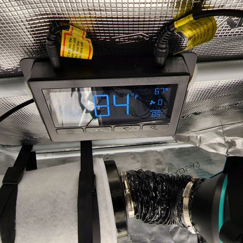LSD Auto growlog photo: After humidifier added and fan control adjusted. 