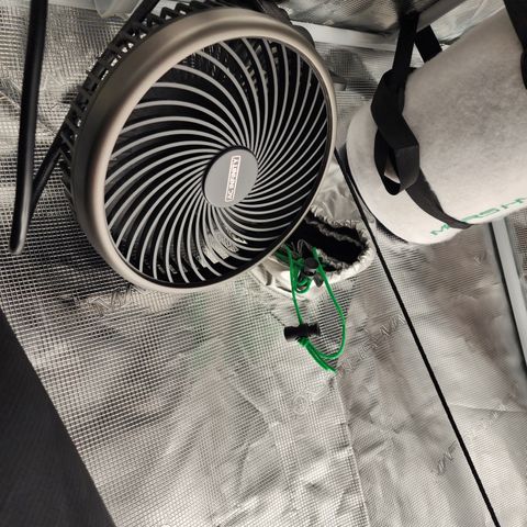 LSD Auto growlog photo: Added one fan. 