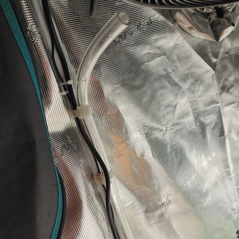 LSD Auto growlog photo: New drip line I made. 