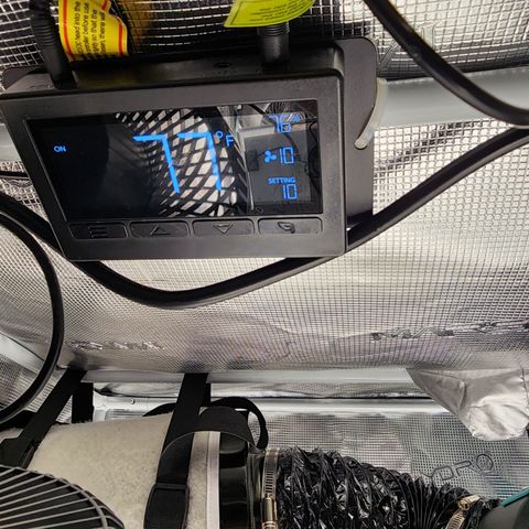 LSD Auto growlog timeline photo