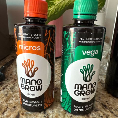Jack Herer growlog photo: Planta com deficiência nutricional. Uma nova aplicação de 1 ml de Vega é 0,5 de micros em 500 ml de água. 