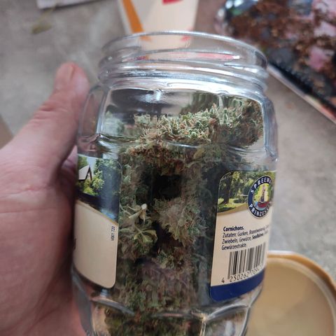Royal Critical Auto  growlog timeline photo