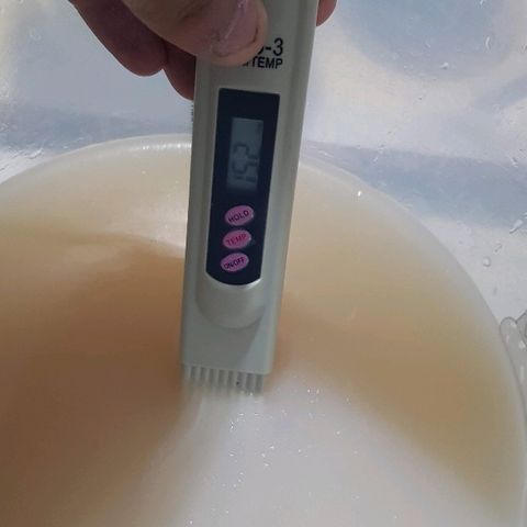 Royal Gorilla growlog photo: Aplicación foliar de silicio