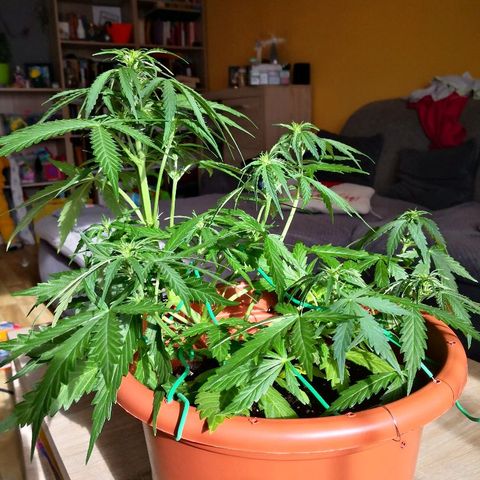 Zosks growlog photo: Podlana 1 l 2+2