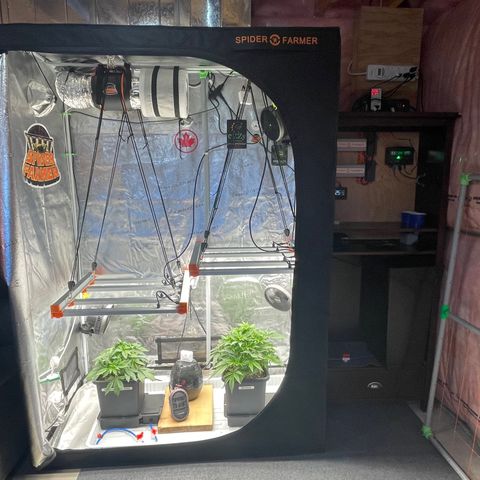 Alaskan Thunderfuck growlog timeline photo
