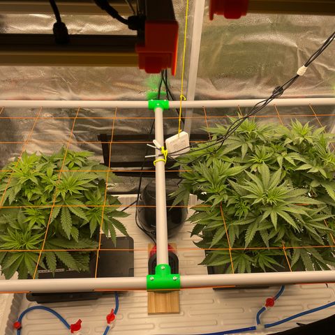 Alaskan Thunderfuck growlog timeline photo