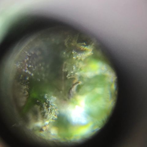 Auto Somango growlog timeline photo