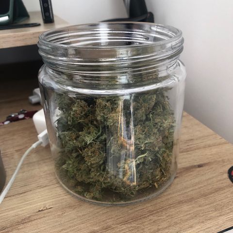 Auto Somango growlog timeline photo