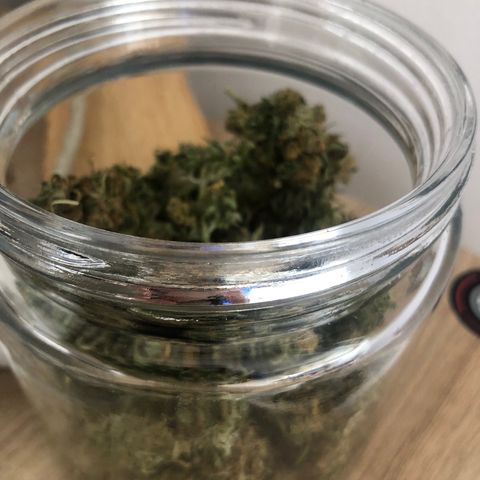 Auto Somango growlog timeline photo