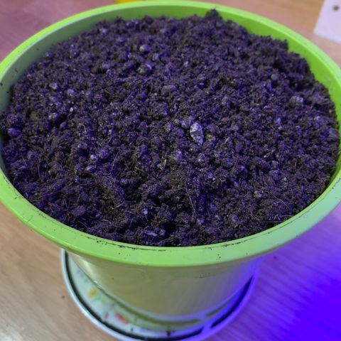 Küsa growlog photo: Brez sprememb...