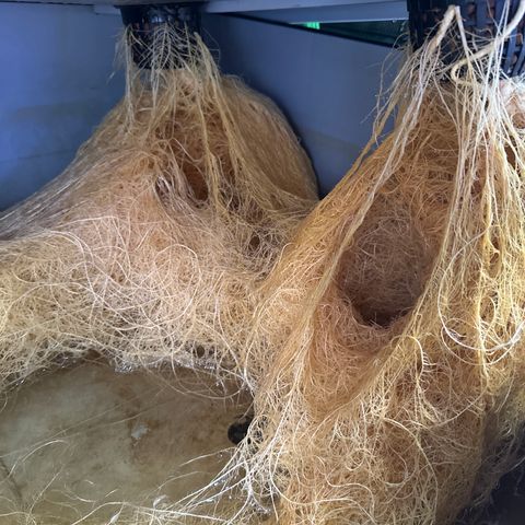 Cap Junk Ultra growlog timeline photo