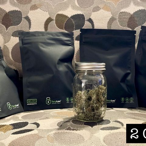Space Cake #3 growlog timeline photo