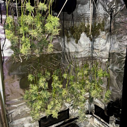 Dark Matter growlog photo: Guessing 5-7oz