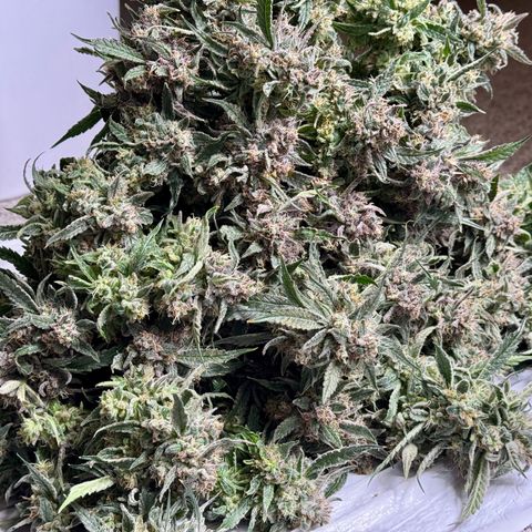Dark Matter growlog photo: Guessing 5-7oz