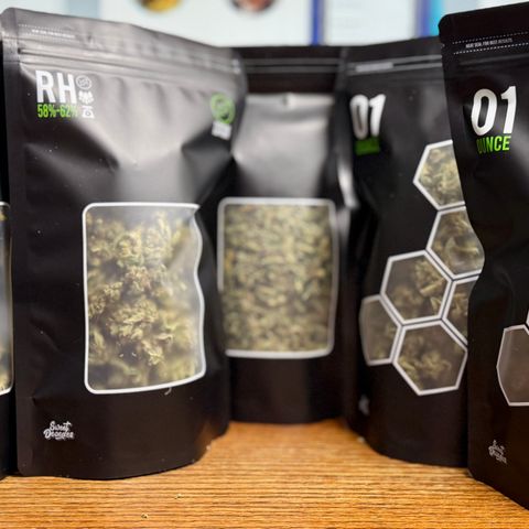 Jelly Donutz growlog timeline photo