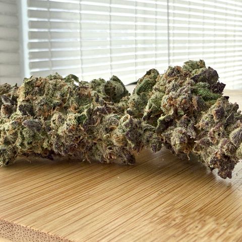 Sour Stomper 1 growlog timeline photo