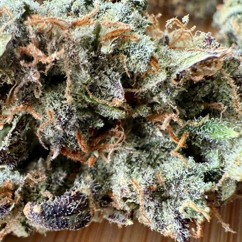 Sour Stomper 1 growlog timeline photo