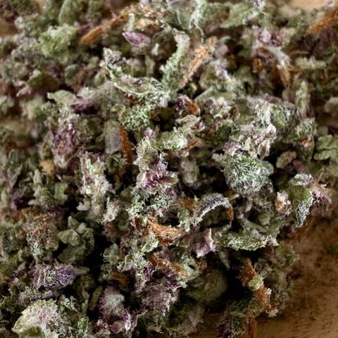 Banana Purple Punch Auto growlog timeline photo