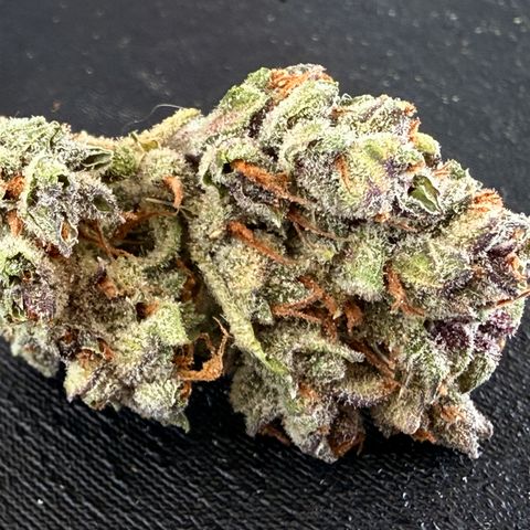 Banana Purple Punch Auto growlog timeline photo
