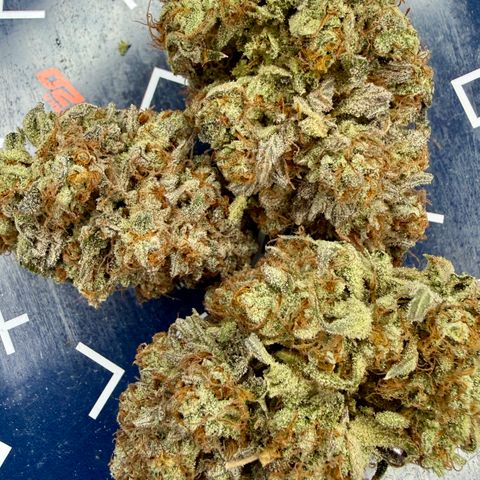 Banana Blast growlog photo: 107g all premium, no larf, minimal trim. Not a bad haul for a plant that was neglected. 