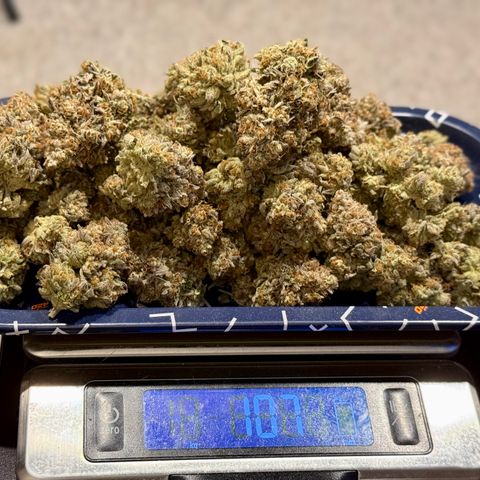 Banana Blast growlog photo: 107g all premium, no larf, minimal trim. Not a bad haul for a plant that was neglected. 