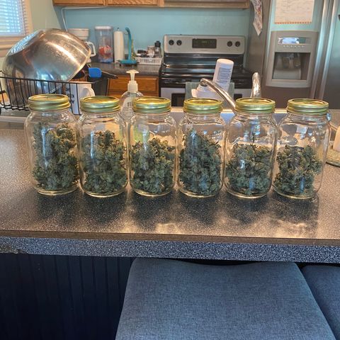 Wedding Cake growlog timeline photo