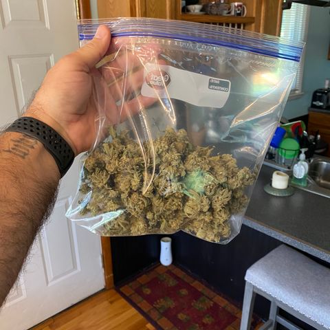 Wedding Cake growlog timeline photo