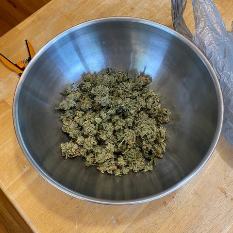 Wedding Cake growlog timeline photo