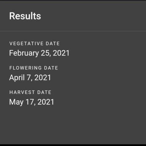 Auto Northern Lights 🌟 growlog timeline photo