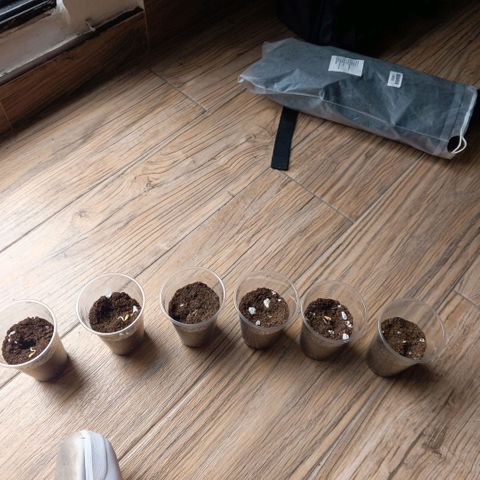 Genética desconocida growlog photo: Posicionamiento 