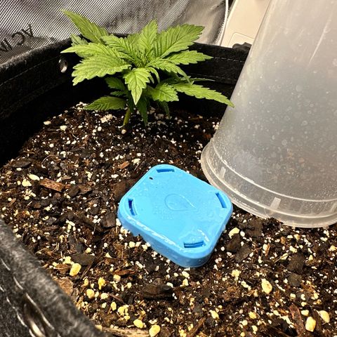Critical 2.0 Auto (Herby) growlog timeline photo