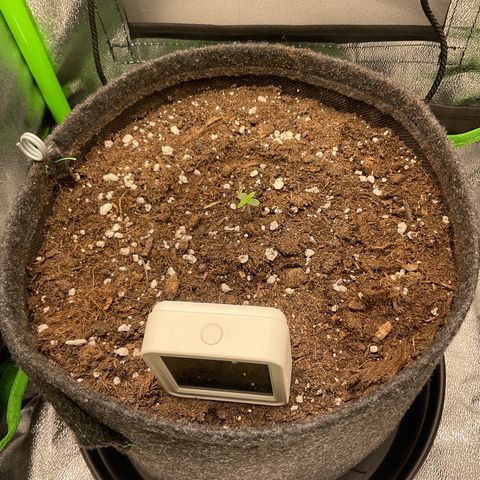 EMRATA growlog timeline photo