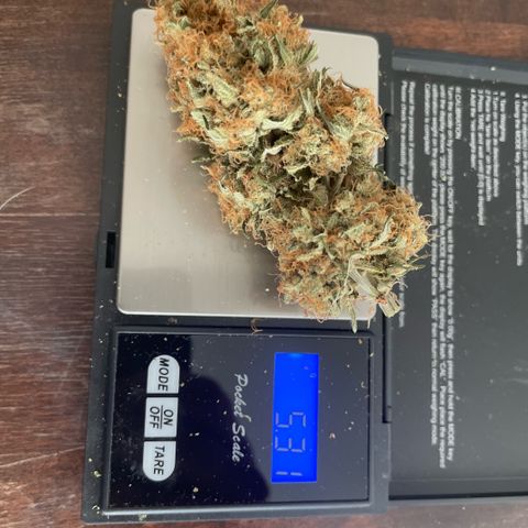 Critical fem. growlog timeline photo