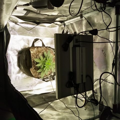 Jet growlog timeline photo