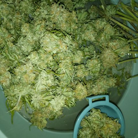 Jet growlog photo: Still a little left to go still