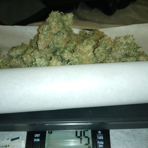 Jet growlog photo: Still a little left to go still