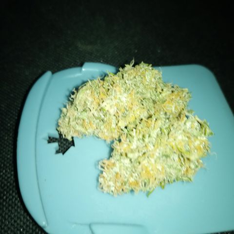 Jet growlog photo: Still a little left to go still