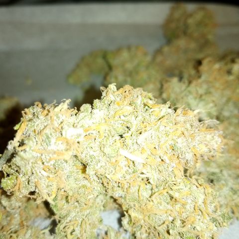 Crystal Candy XL Auto growlog photo: Stunk up my entire apartment building trimming 😂